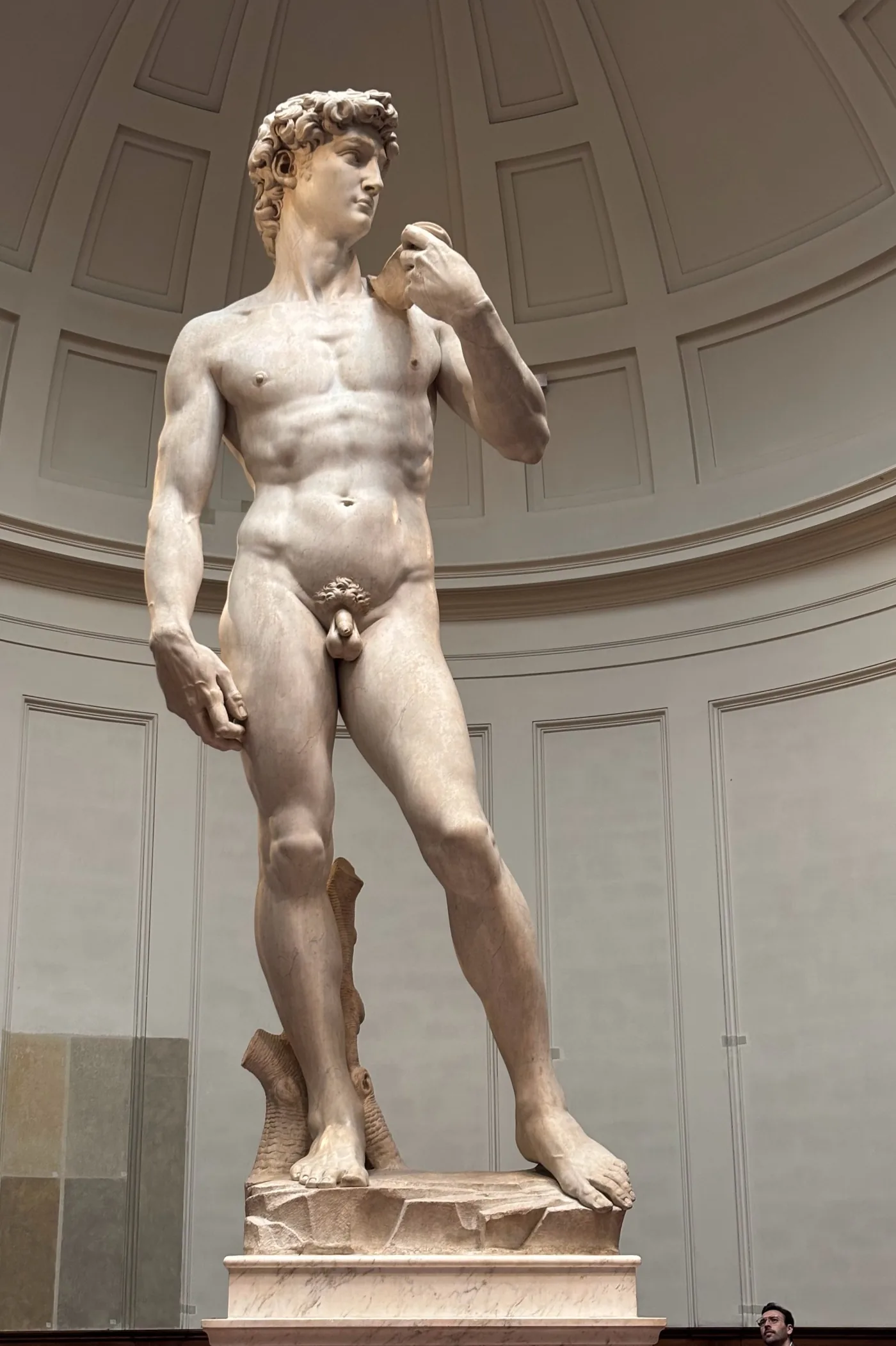 Statue de marbre d'un jeune homme nu, debout, une fronde posée sur l'épaule, le regard tourné sur le côté, devant une coupole claire.